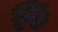 bacterium_cerbrus_rot.jpg