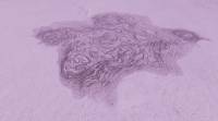 bacterium_volu_rot.jpg