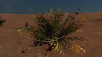 frutexa_fera_gruen.jpg