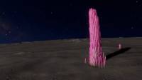 fungoida_stabitis_magenta.jpg